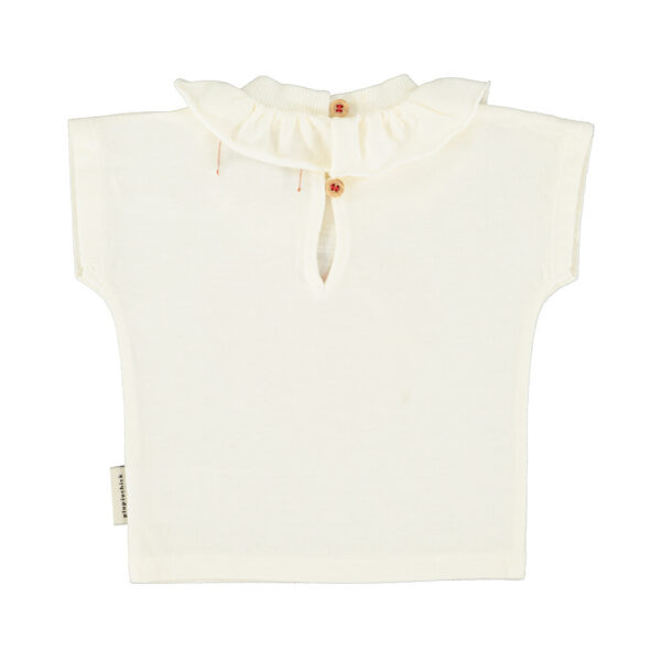 Inicio MONCOLOR KIDS IMG 9385