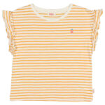 Camiseta rallitas limon